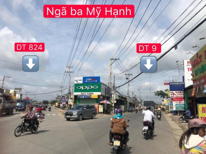 Ngã ba Mỹ Hạnh đóng vai trò quan trọng trong việc di chuyển xung quanh xã Mỹ Hạnh Nam