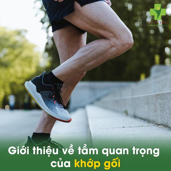 Giới thiệu về tầm quan trọng của khớp gối và tiêm chất nhờn khớp gối