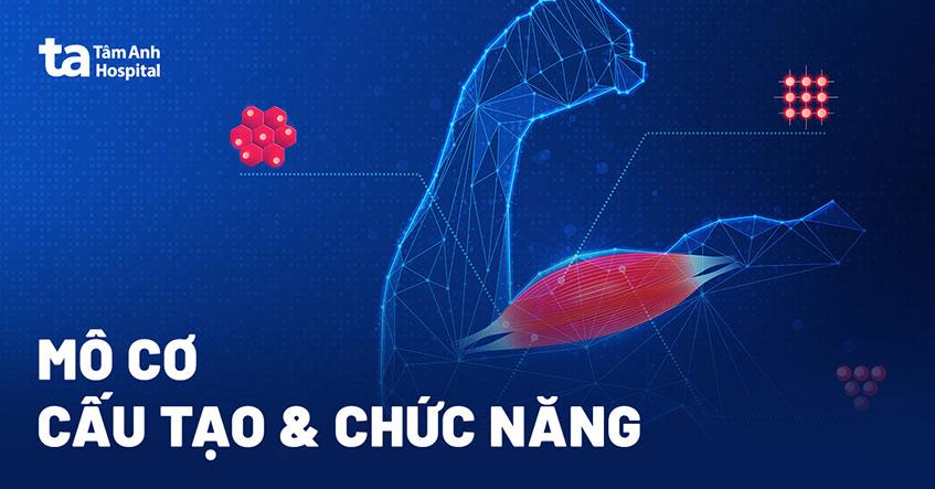 cấu tạo chức năng mô cơ