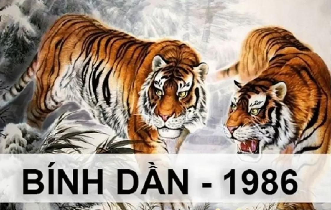 hoa gian van han cho tuoi binh dan