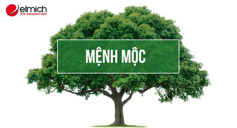 Hình 1: Người mệnh Mộc đa số có tính cách điềm tĩnh, ôn hòa, khiêm tốn, có trí tiến thủ, luôn nỗ lực để vươn lên trong cuộc sống