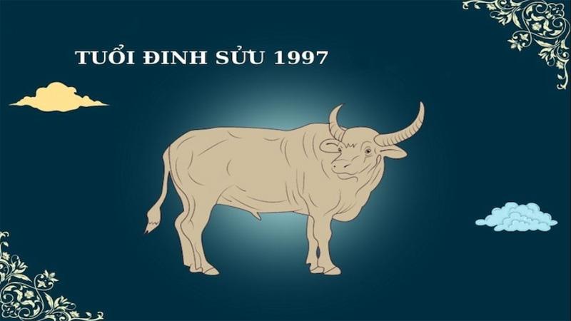 1997 năm nay bao nhiêu tuổi 2024