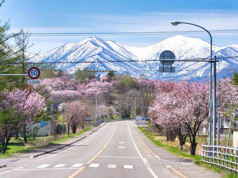 tour du lịch Hokkaido