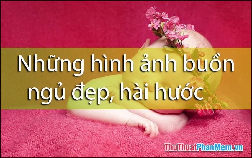 Những hình ảnh buồn ngủ đẹp, hài hước, dễ thương