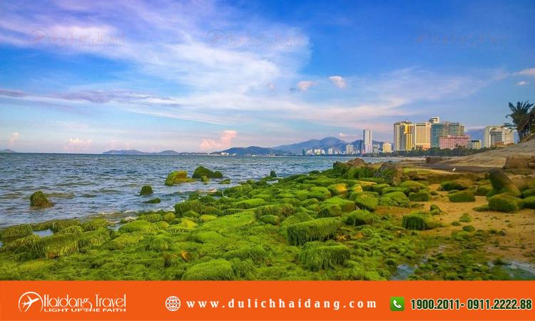 Lịch thủy triều Nha Trang 2024 - Hải Đăng Travel