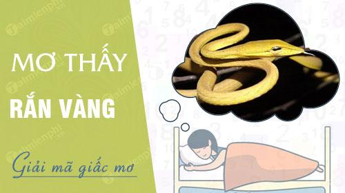 Nằm mơ thấy rắn vàng