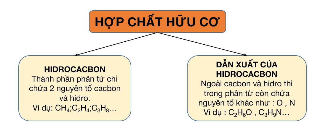 hợp chất hữu cơ - đại cương hóa hữu cơ