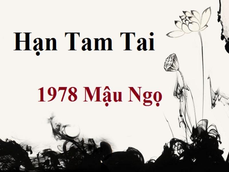 1978 - tuổi Mậu Ngọ năm 2024 có làm nhà được không?