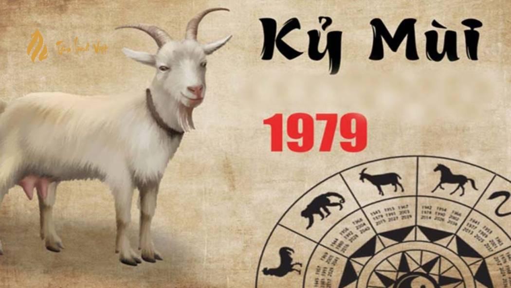 Xem tử vi trọn đời tuổi kỷ mùi 1979 nam mạng chuẩn xác nhất