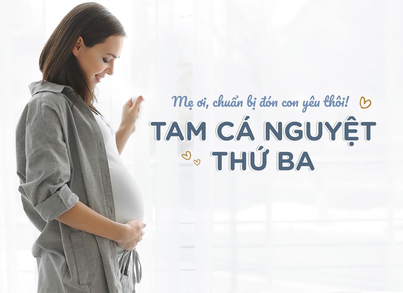 tam cá nguyệt thứ 3