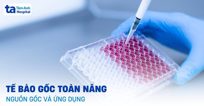 tế bào gốc toàn năng