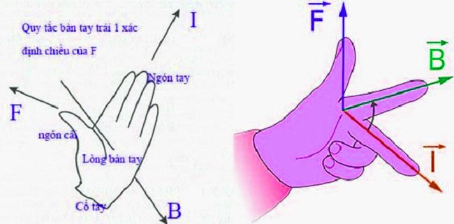 quy tắc bàn tay trái