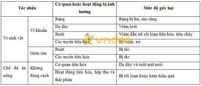 Lý thuyết Sinh học lớp 8 bài 30: Vệ sinh tiêu hóa